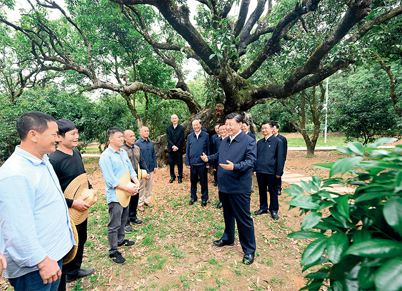 2023年4月10日至13日，中共中央總書記、國(guó)家主席、中央軍委主席習(xí)近平在廣東考察。這是11日下午，習(xí)近平在茂名高州市根子鎮(zhèn)柏橋村荔枝種植園，同現(xiàn)場(chǎng)技術(shù)人員親切交流。